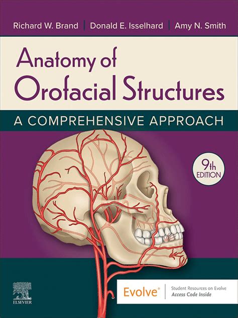 Guide to Anatomy Of Orofacial Structures - E-Book: A Comprehensive Approach