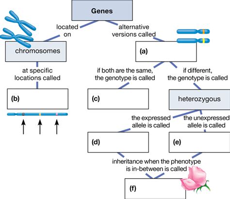 Guide to Concepts Of Genetics