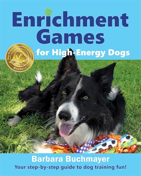 Guide to Enrichment Games For High-Energy Dogs: Your Step-by-step Guide To Dog Training Fun!