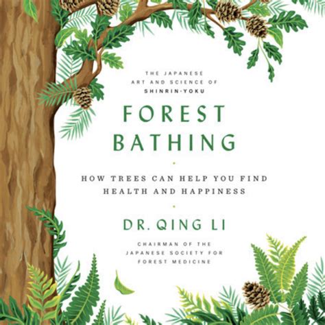 Guide to Forest Bathing: How Trees Can Help You Find Health And Happiness