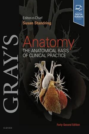 Guide to Gray's Anatomy E-Book