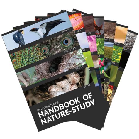 Guide to Handbook Of Nature Study