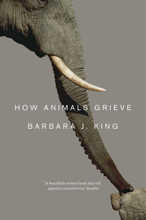 Guide to How Animals Grieve