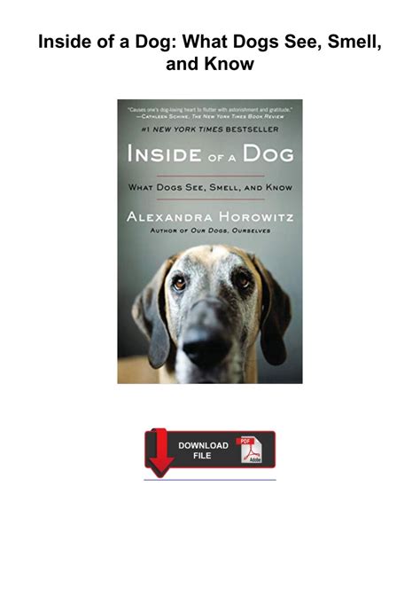 Guide to Inside Of A Dog: What Dogs See Smell And Know