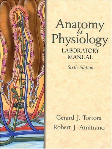 Guide to Laboratory Manual For Anatomy And Physiology 6th Edition