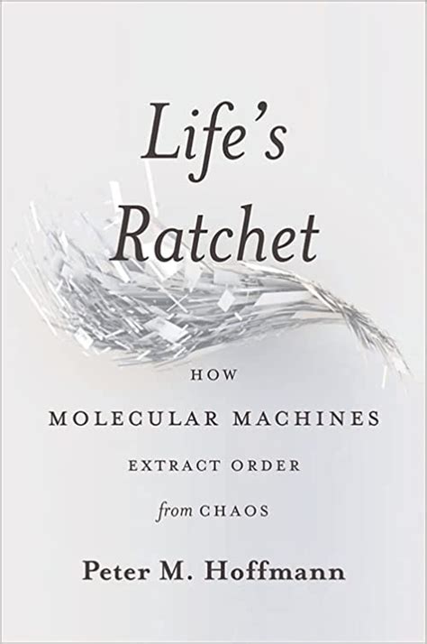 Guide to Life's Ratchet: How Molecular Machines Extract Order From Chaos