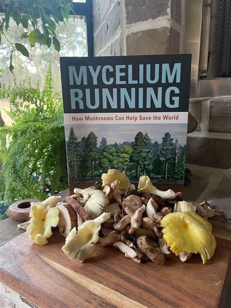 Guide to Mycelium Running: How Mushrooms Can Help Save The World