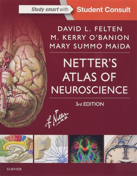 Guide to Netter's Atlas Of Neuroscience E-Book (Netter Basic Science)
