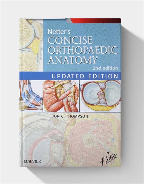 Guide to Netter's Concise Orthopaedic Anatomy E-Book Updated Edition (Netter Basic Science)