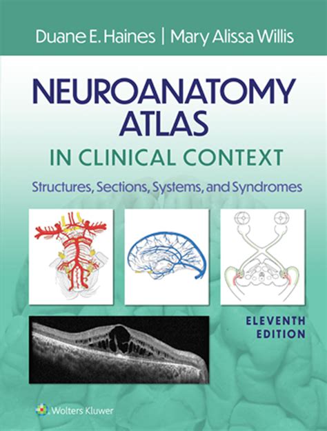 Guide to Neuroanatomy Atlas In Clinical Context: Structures Sections Systems And Syndromes
