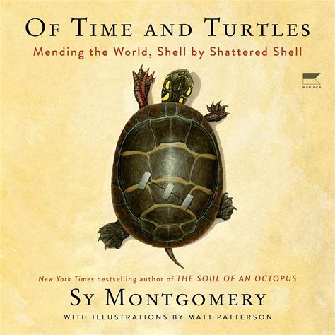 Guide to Of Time And Turtles: Mending The World Shell By Shattered Shell