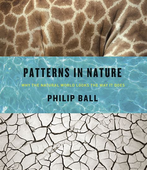 Guide to Patterns In Nature: Why The Natural World Looks The Way It Does