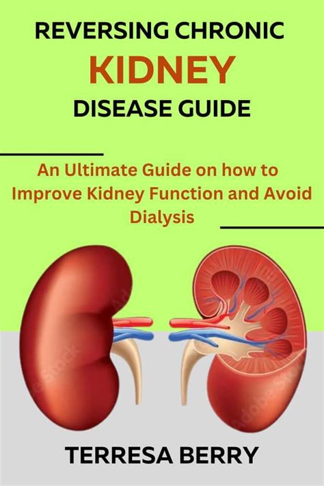 Guide to Reverse Chronic Kidney Disease: How To Improve Kidney Function And Avoid Dialysis