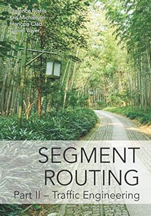 Guide to Segment Routing Part II: Traffic Engineering