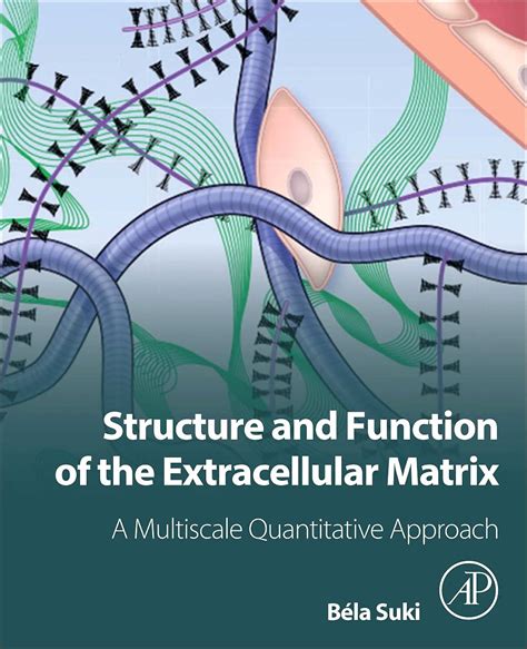 Guide to Structure And Function Of The Extracellular Matrix: A Multiscale Quantitative Approach