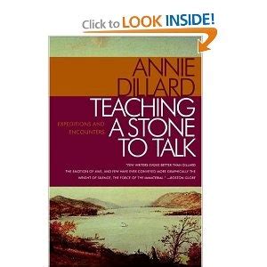 Guide to Teaching A Stone To Talk: Expeditions And Encounters