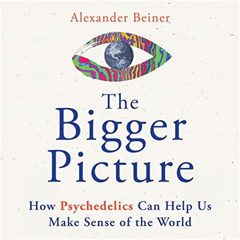 Guide to The Bigger Picture: How Psychedelics Can Help Us Make Sense Of The World