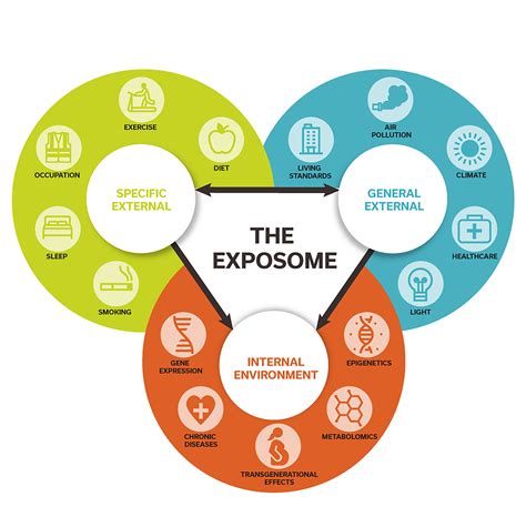Guide to The Exposome: A Primer