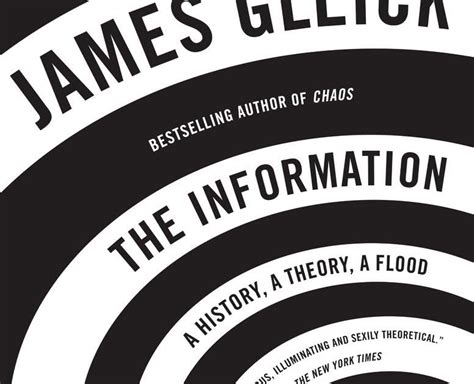 Guide to The Information: A History A Theory A Flood