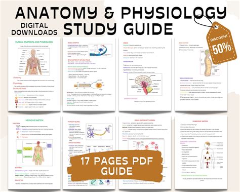 Guide to Visual Anatomy Physiology 1