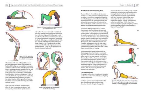 Guide to Yoga Anatomy Made Simple: Your Illustrated Guide To Form Function And Posture Groups