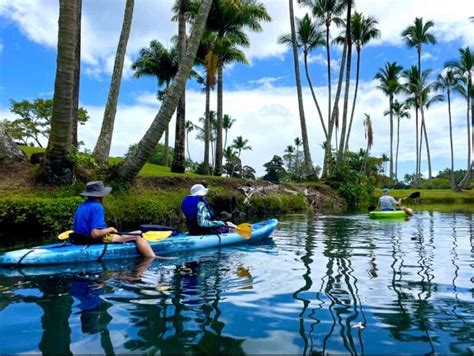 Guided Kayaking Tour Experience