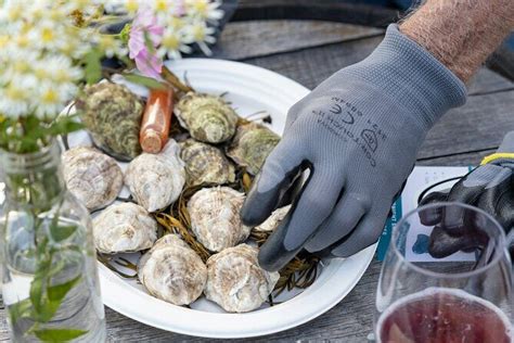 Top Guided Oyster Tasting Review: A Detailed Guide