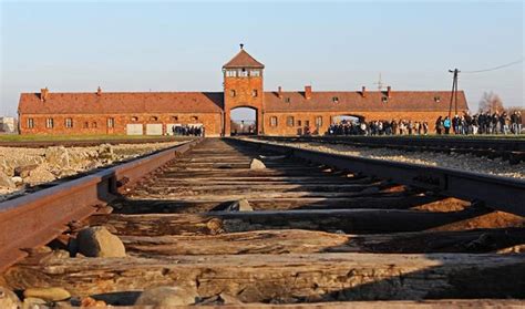 Guided Tour Auschwitz