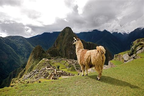 Guided Tour Machu Picchu