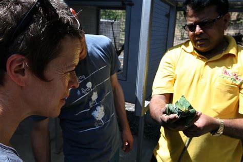 Guided tour inclusions