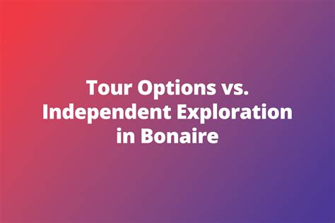 Guided vs. Independent Exploration