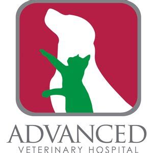 Expert Animal Care in Sumter: Discover Guignard Animal Clinic's Top-Notch Services in South Carolina