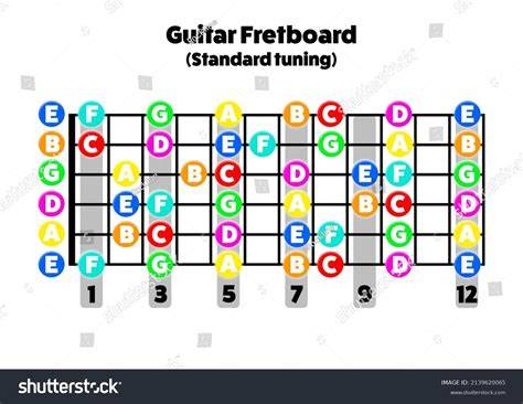 Guitar Fretboard Diagram Printable