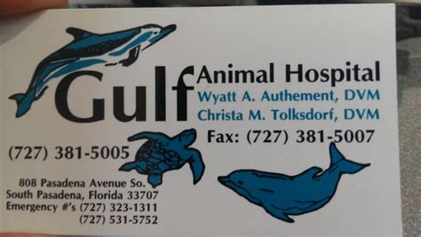 Gulf Animal Hospital: Top-Quality Pet Care Services in St. Petersburg, FL