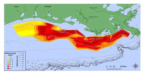 Gulf Of Mexico Dead Zone