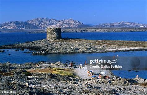 Gulf of Asinara Catamaran Trip: An In-Depth Review
