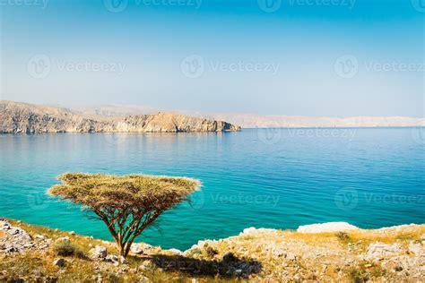 Gulf of Poets landscape
