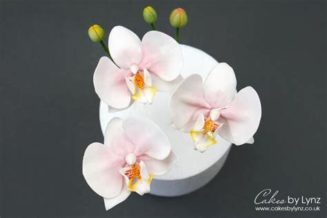 Gumpaste Moth Orchid Tutorial