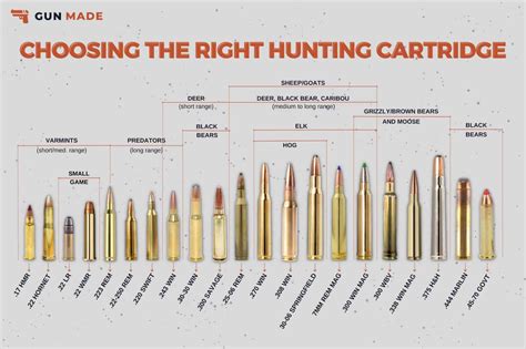 Gun Caliber Size Chart