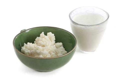 Gunakan Kefir