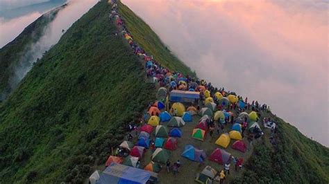 Gunung Andong Gogik Camping