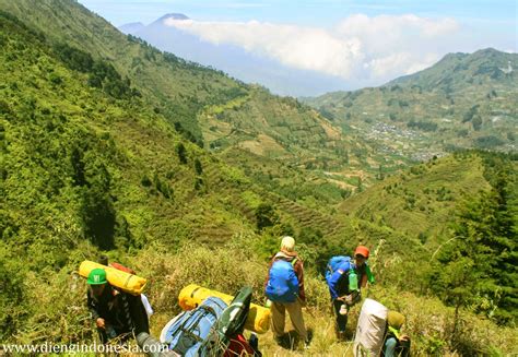 Gunung Prau jalur baru