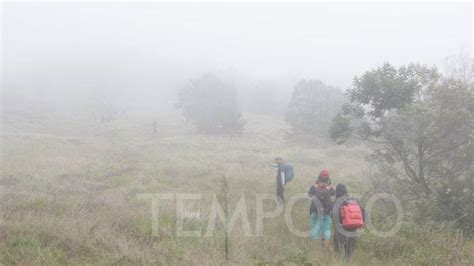 Gunung Prau saat musim hujan