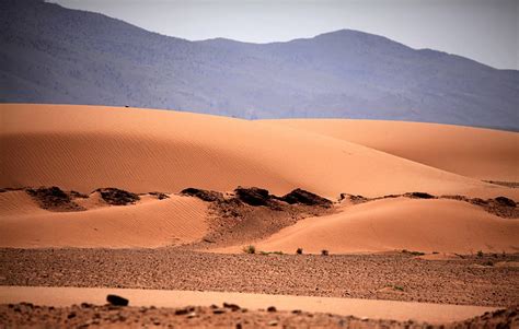Gurun Sahara Aljazair