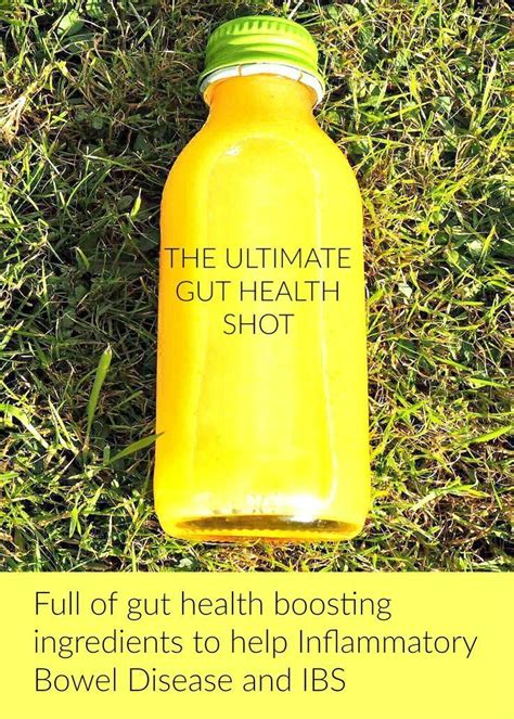 Gut Health Shot Recipe