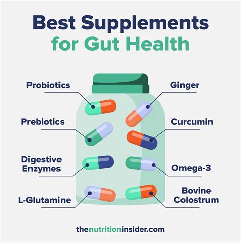 Gut Health Supplement