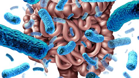 Gut Microbiome