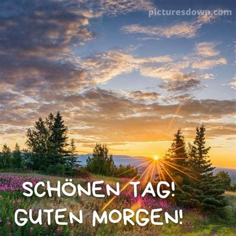 Guten Morgen Bild