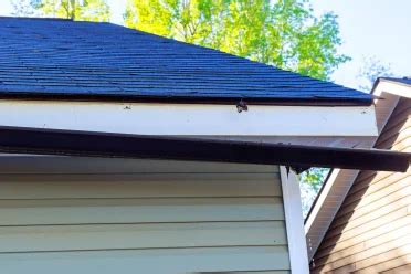 Common Gutter Problems in Wichita KS