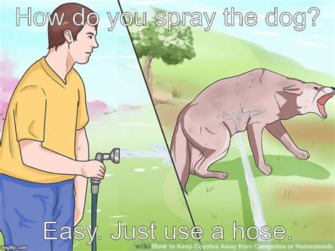 Guy Spraying Dog Meme